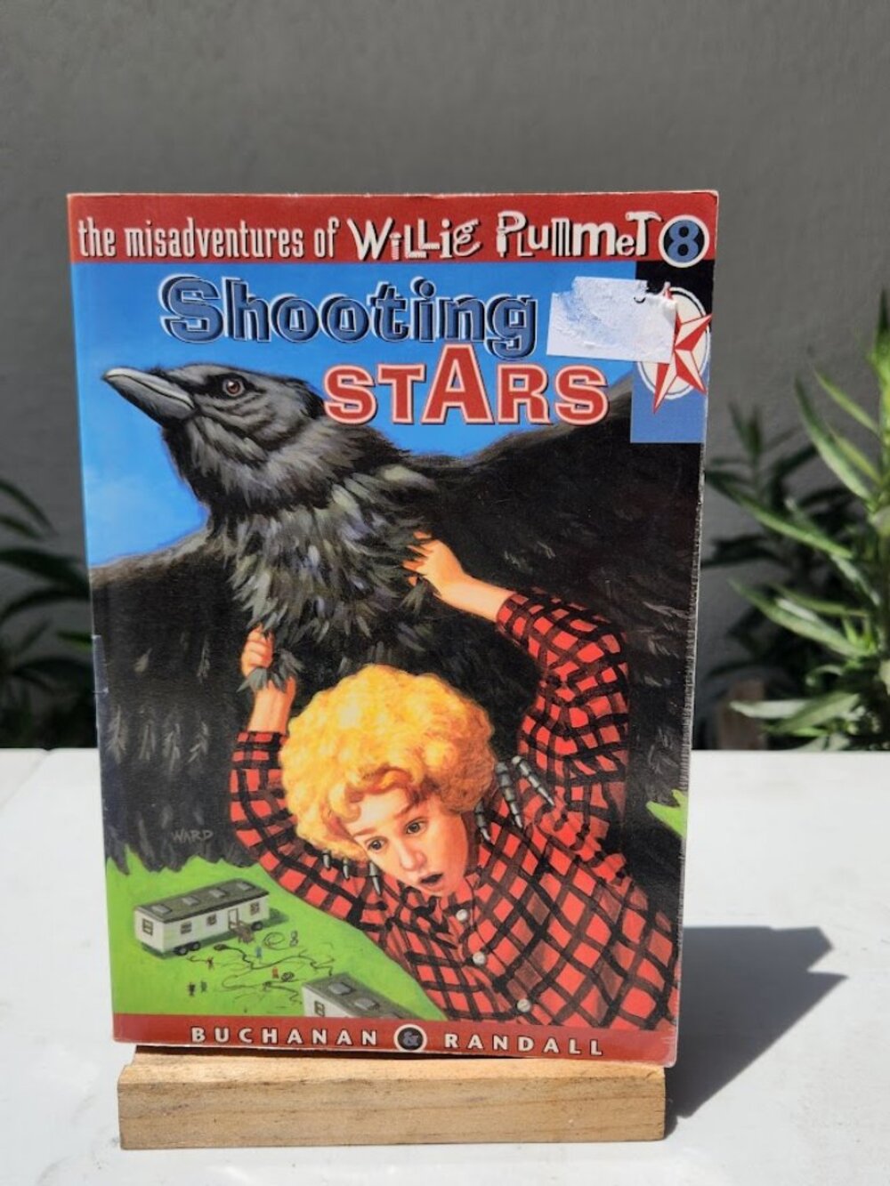 Shooting Stars (Misadventures of Willie Plummet Paperback Book Literature Novel